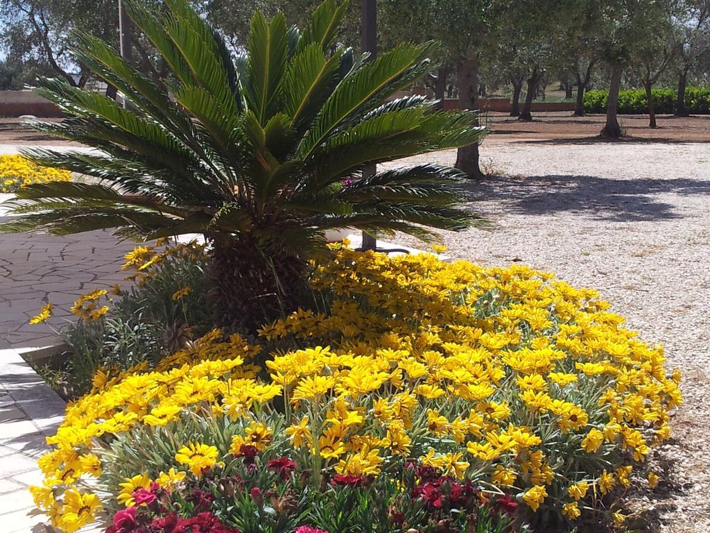 Bed and Breakfast Otranto Le Sancinare Casamassella Esterno foto